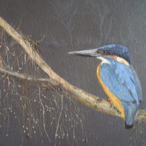 04 ijsvogeltje