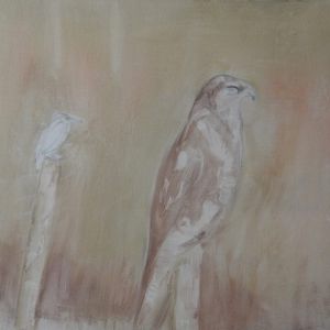 11 buizerd ijsvogel  1e fase