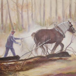 22 drunense duinen