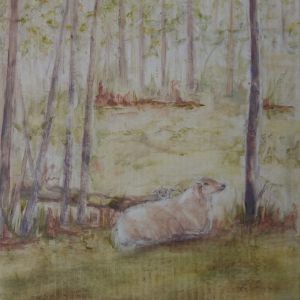 24 schaap