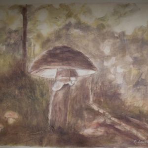 26 parelamaniet