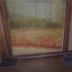 40 landschap in doos acryl
