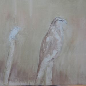 Buizerd ijsvogel