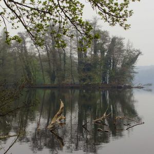 Krickenbeck