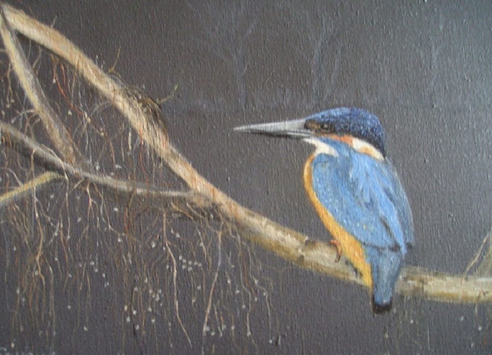 04 ijsvogeltje 04 ijsvogeltje