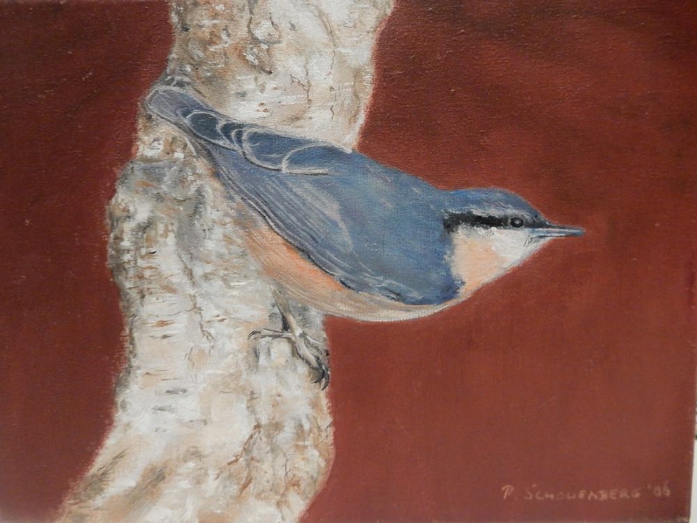 05 boomklever 05 boomklever