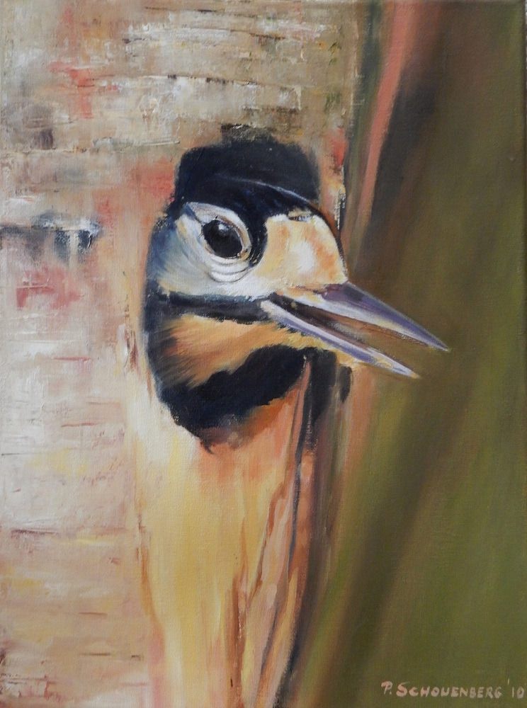 07 grote bonte specht olieverf 07 grote bonte specht olieverf