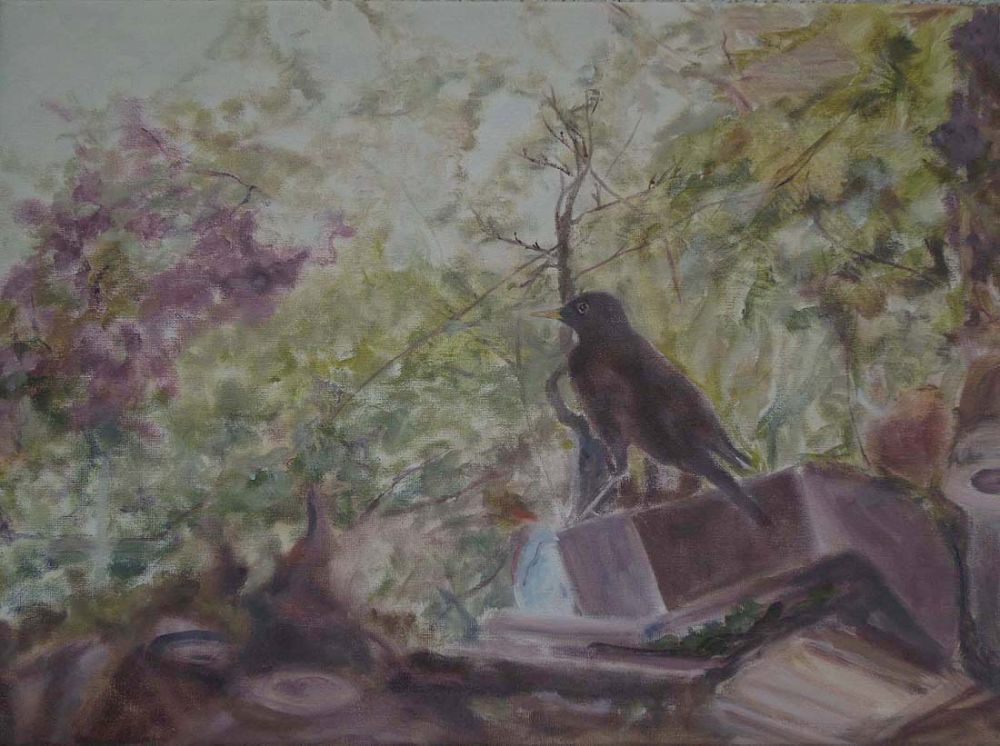 09 merel olievef 09 merel olievef