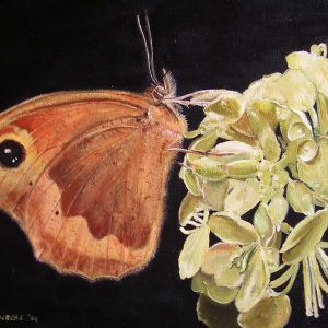 13 bruinzandoogje olieverf