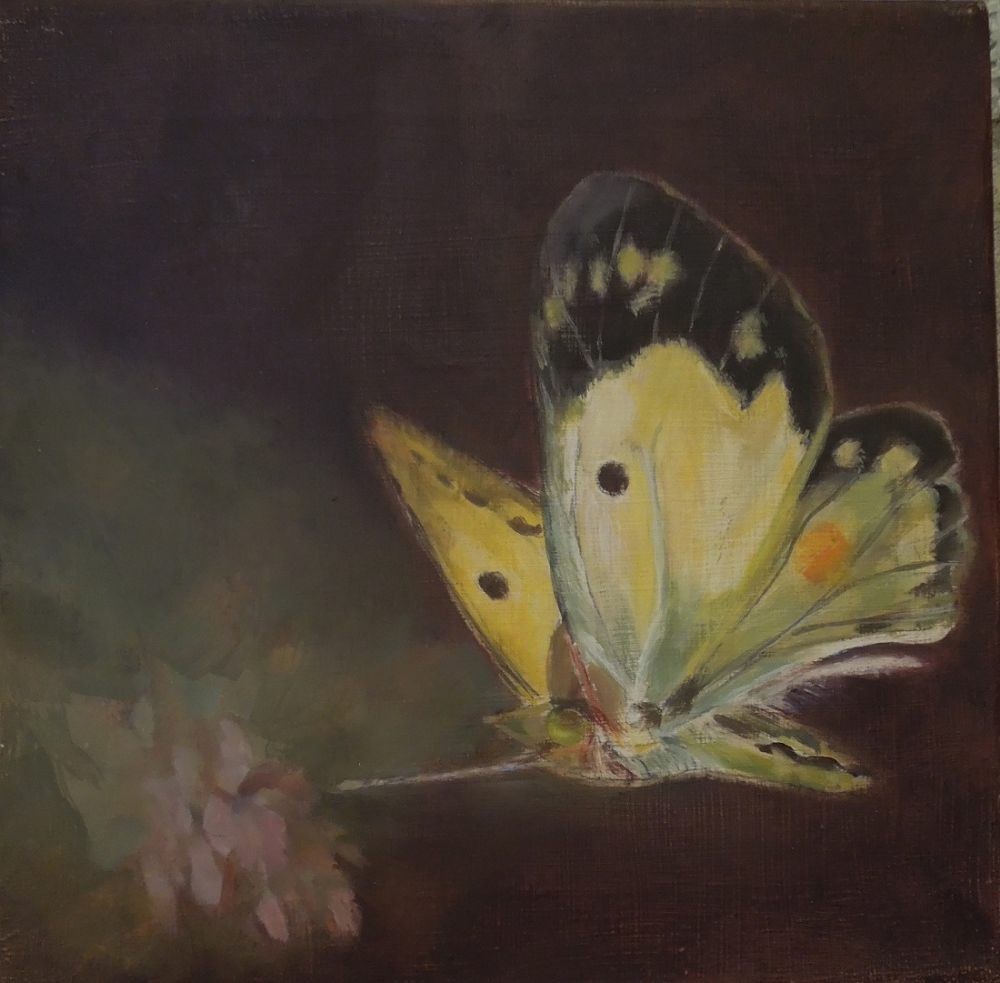 18 oranjetipje 18 oranjetipje