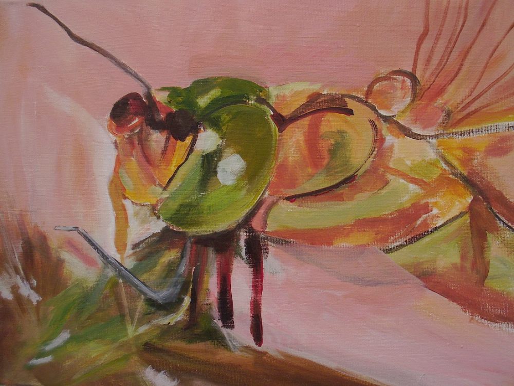 20 douwlibel 20 douwlibel