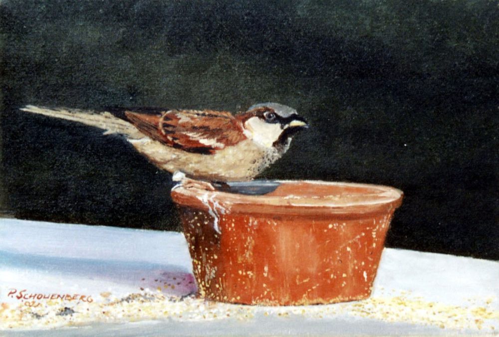 01 huismusje 01 huismusje