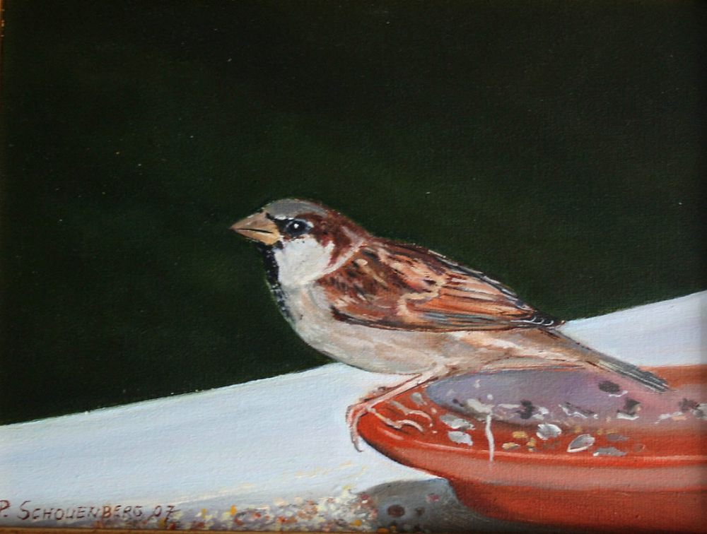 03 huismus 03 huismus