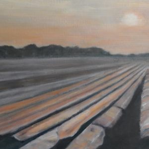 18 aspergesveld op karton